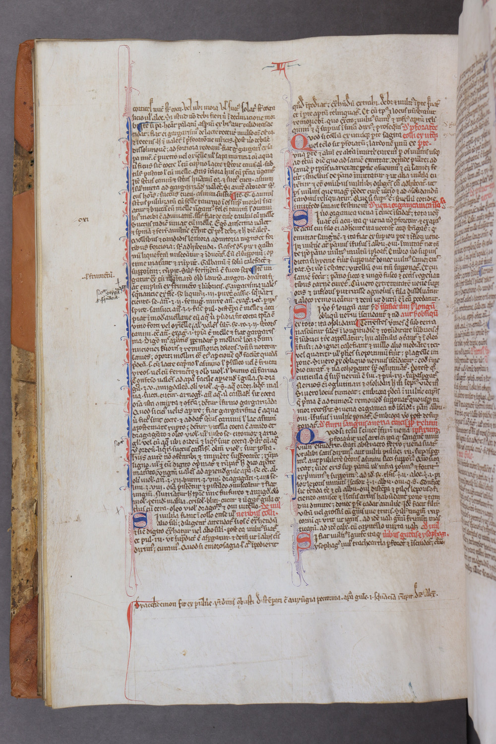 Folio 83 verso